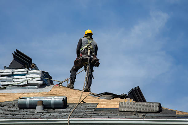 Professional Roof Installation technician working in Halls, TN